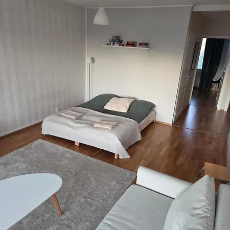 アパート Spacious One-bedroom In The Center *